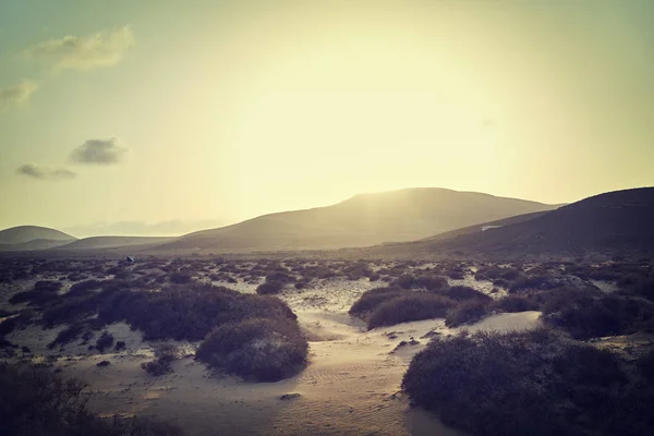 Fuerteventura Adası'nın tipik peyzaj — Stok fotoğraf