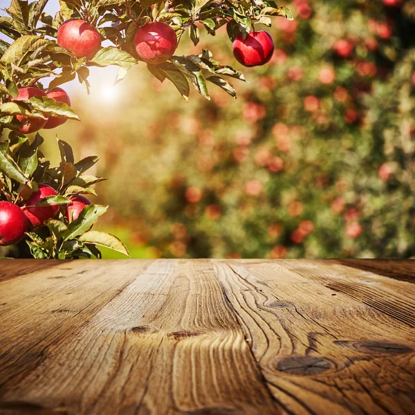 Tabell utrymme och apple trädgård — Stockfoto