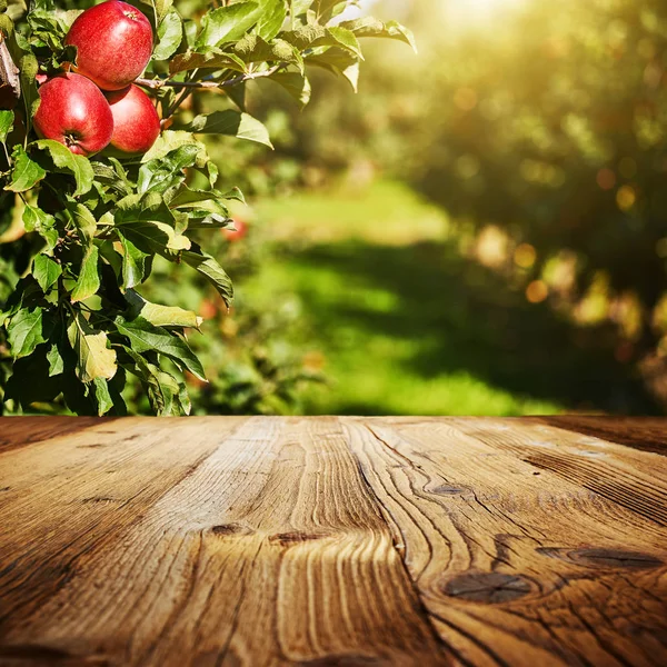 Tablo alanı ve elma Bahçe 