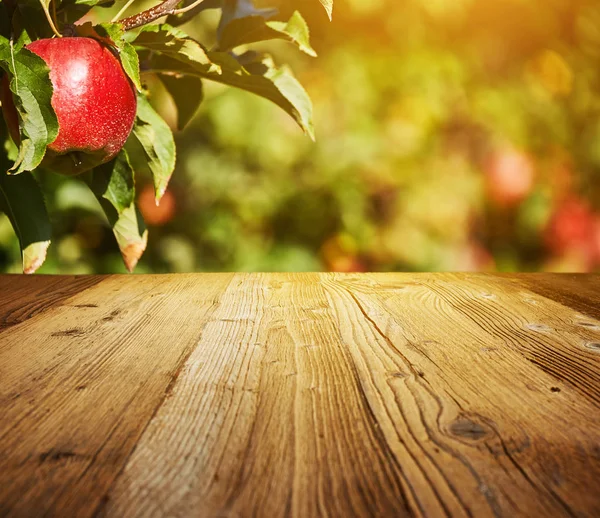 Tablo alanı ve elma Bahçe 