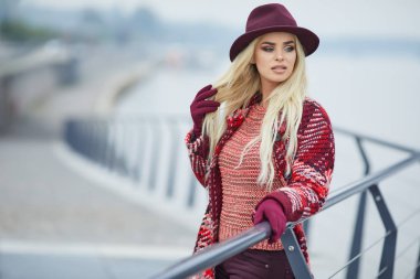 Zarif güzel sarışın kadın portresi kapatın 