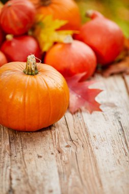 kabaklar bir masada sonbahar yaprakları