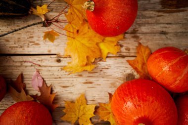 Kabaklar arka plan, üstten görünüm.  