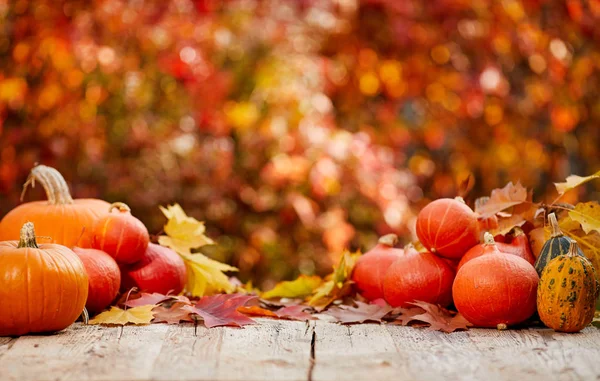 Las calabazas sobre la mesa con las hojas otoñales — Foto de Stock