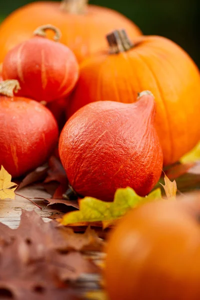 Las calabazas sobre la mesa con las hojas otoñales — Foto de Stock