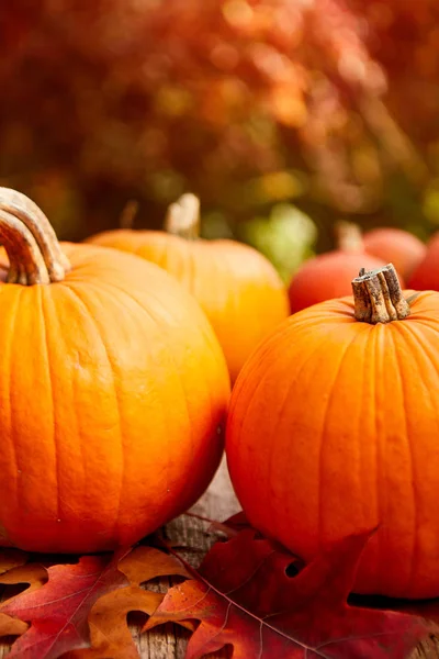 Las calabazas sobre la mesa con las hojas otoñales — Foto de Stock