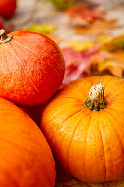 Las calabazas sobre la mesa con las hojas otoñales — Foto de Stock