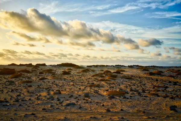 카나리아 섬의 전형적인 풍경 — 스톡 사진