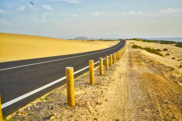 Typical landscape of Fuerteventura island — Stock Photo, Image