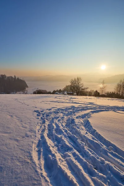 雪は、夕暮れ時、山で木を覆われました。美しい冬 — ストック写真