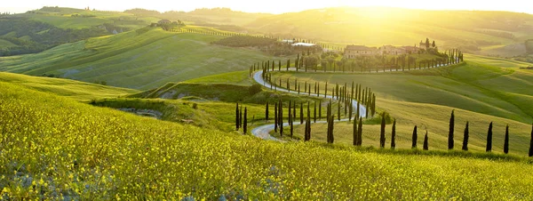 Landscape in Tuscany, Italy — Stock Photo, Image