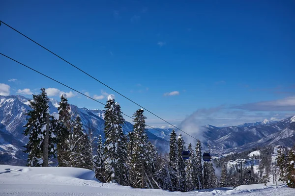 Sapins sur la montagne d'hiver — Photo