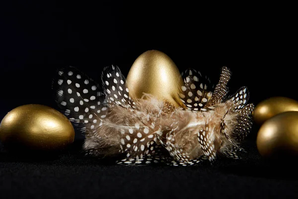 Kreativ Beleuchtete Goldene Gänseeier Einem Echten Vogelnest Schwarzer Hintergrund — Stockfoto