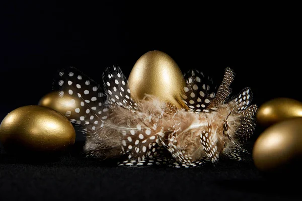 Kreativ Beleuchtete Goldene Gänseeier Einem Echten Vogelnest Schwarzer Hintergrund — Stockfoto