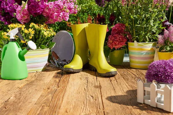 Gardening Tools Flowers Terrace Garden — Stock Photo, Image