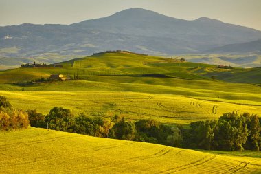 Beautiful view of green fields and meadows at sunset in Tuscany