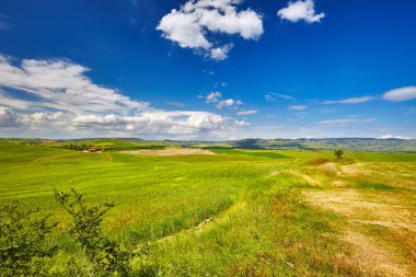 manzara val d'orcia il. Toskana, İtalya.
