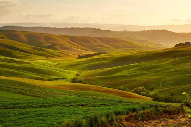 Beautiful view of green fields and meadows at sunset in Tuscany