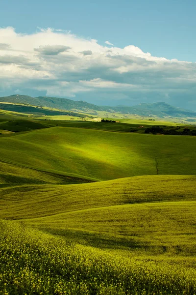 Collines de la Toscane verte — Photo