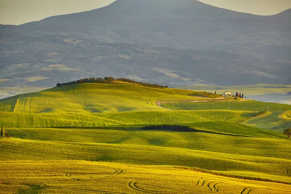 Amazing Tuscany hill — Stock Photo, Image