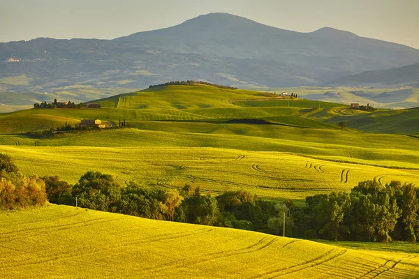 Bella vista di prati e prati verdi al tramonto in Toscana — Foto Stock