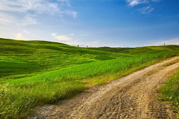 Hermosa vista de campos verdes y prados al atardecer en Toscana —  Fotos de Stock