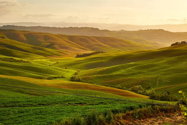 Belle vue sur les champs verdoyants et les prairies au coucher du soleil en Toscane — Photo