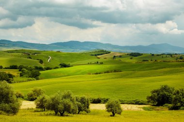 Yeşil Toskana hills