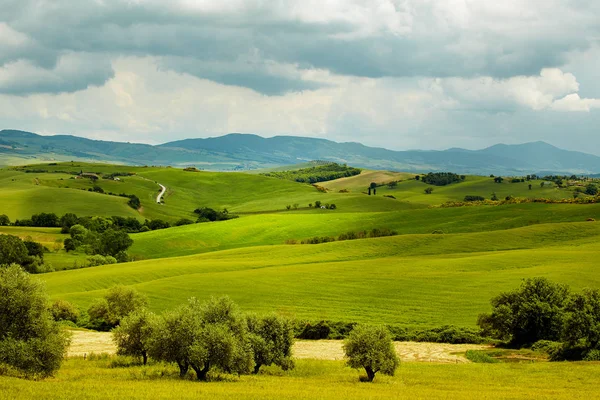 Yeşil Toskana hills — Stok fotoğraf