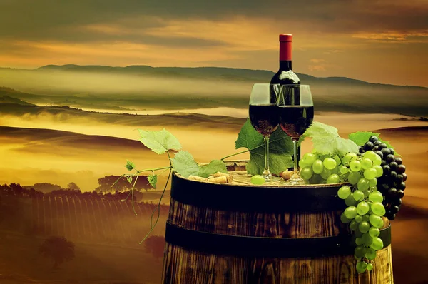 Rött vin med fat på vingården i gröna Toscana — Stockfoto