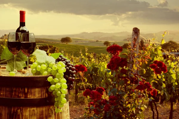 Vin rouge avec tonneau sur vignoble en Toscane verte — Photo