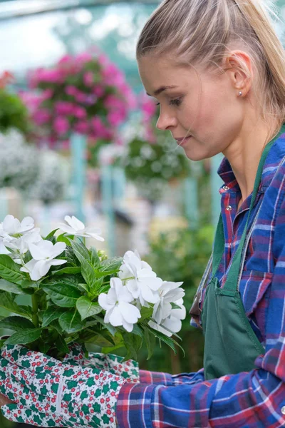 Smiling employee in garden center — Stock Photo, Image