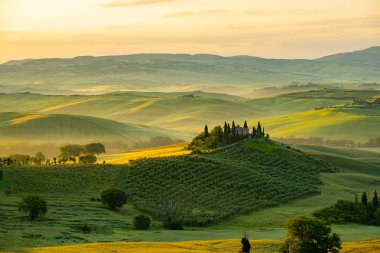 Tuscany - manzara panorama, tepeler ve çayır, Toscana - İtalya