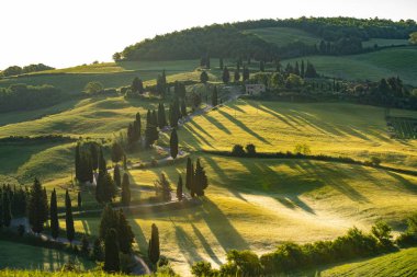 Tuscany - manzara panorama, tepeler ve çayır, Toscana - İtalya