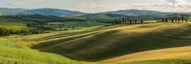Tuscany - manzara panorama, tepeler ve çayır, Toscana - İtalya