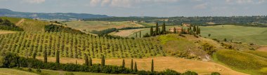 Tuscany - manzara panorama, tepeler ve çayır, Toscana - İtalya