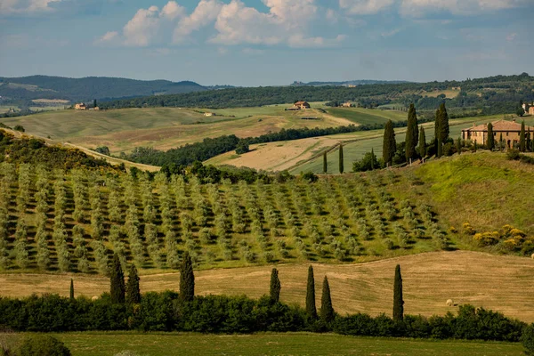 托斯卡纳-景观全景、 山丘和草甸，托斯卡纳-意大利 — 图库照片
