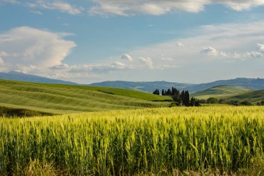 İtalya Dağları Yeşil Vadi Panoramik Arazi