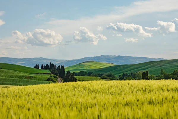 Itálie Horská zelená údolí panoramatická krajina — Stock fotografie