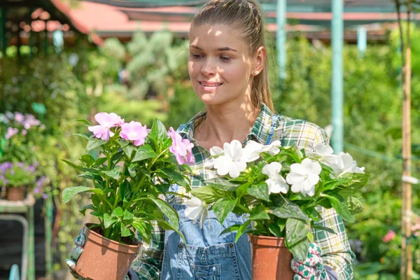 Jonge vrouw tuinieren in de kas. Ze selecteert bloemen. — Stockfoto