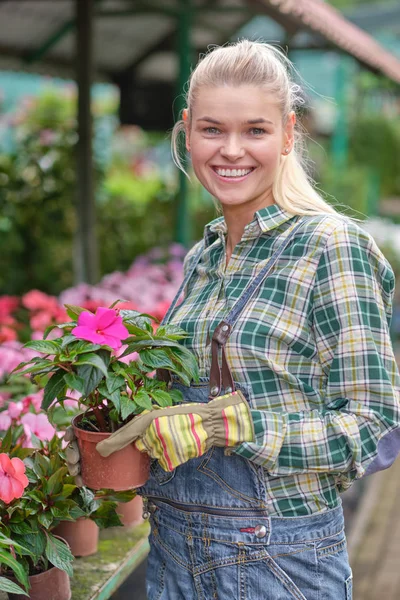 Mujer joven jardinería en invernadero.Ella seleccionando flores . — Foto de Stock