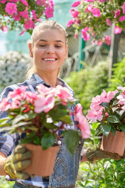 温室でガーデニングする若い女性。彼女は花を選ぶ. — ストック写真