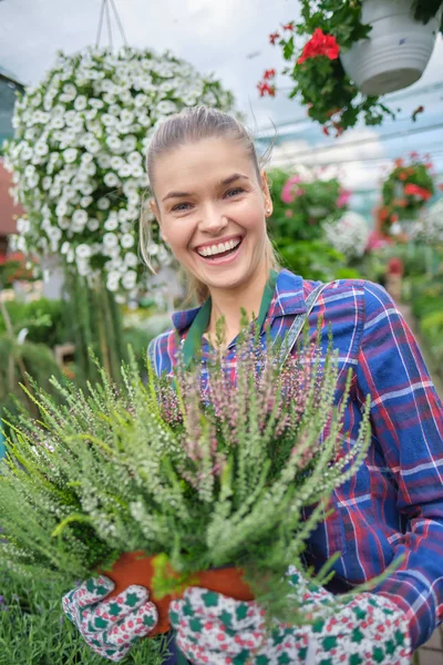 Šťastná žena zahradník výběru květináč s anthuriums v gar — Stock fotografie