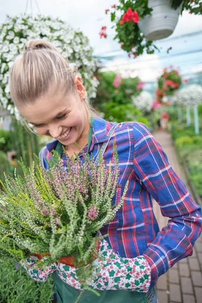 Mulher feliz jardineiro escolhendo vaso de flores com antúrios em gar — Fotografia de Stock