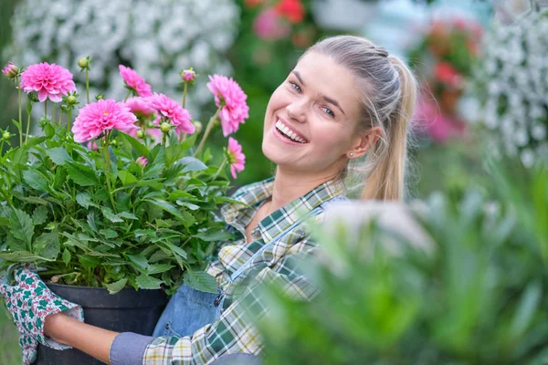 Floristas mulher trabalhando com flores em uma estufa. — Fotografia de Stock