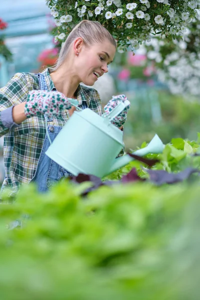 Žena zahradničení ve skleníku.Vybírá květiny. — Stock fotografie
