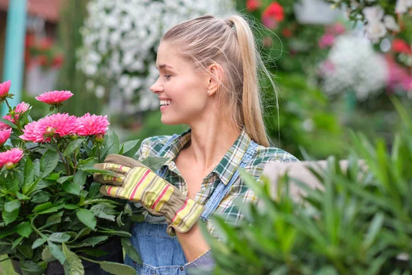 Floristin arbeitet mit Blumen in einem Gewächshaus. — Stockfoto