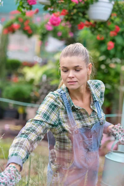 Mujer feliz jardinero elegir maceta con anturios en gar —  Fotos de Stock