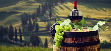 Tuscany, İtalya 'da üzüm bağında kırmızı şarap
