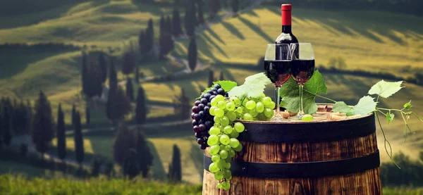 Czerwone wino z beczką na winnicy w zielonej Toskanii, Włochy — Zdjęcie stockowe